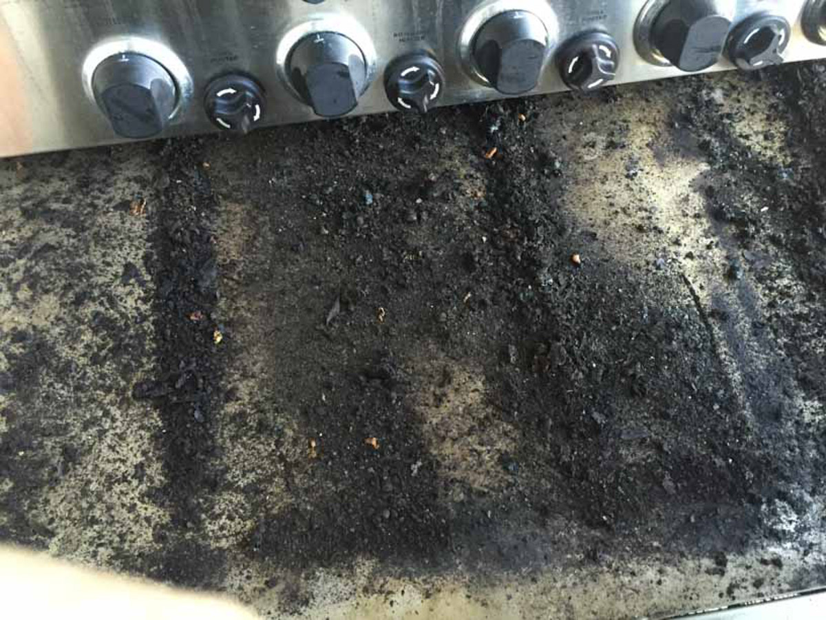 Let Me Clean Your BBQ - let-me-clean-your-bbq-20